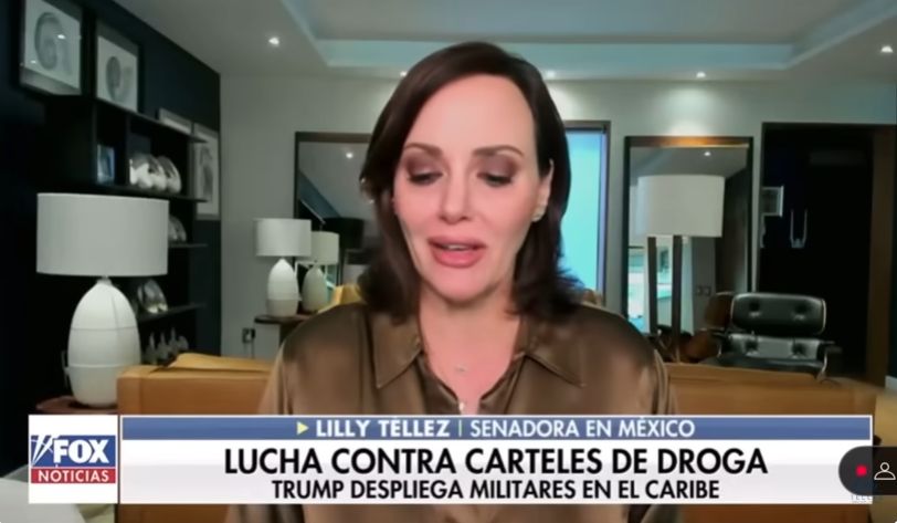 Sheinbaum protege a los Narcos: Lily Tellez