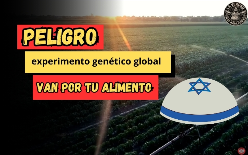 PLANEAN ROCIAR ARN EN LA COMIDA El próximo experimento genético global